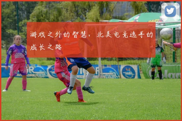 游戏之外的智慧,北美电竞选手的成长之路